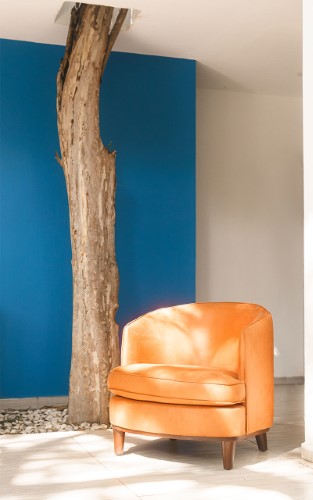 Sillas and Chairs